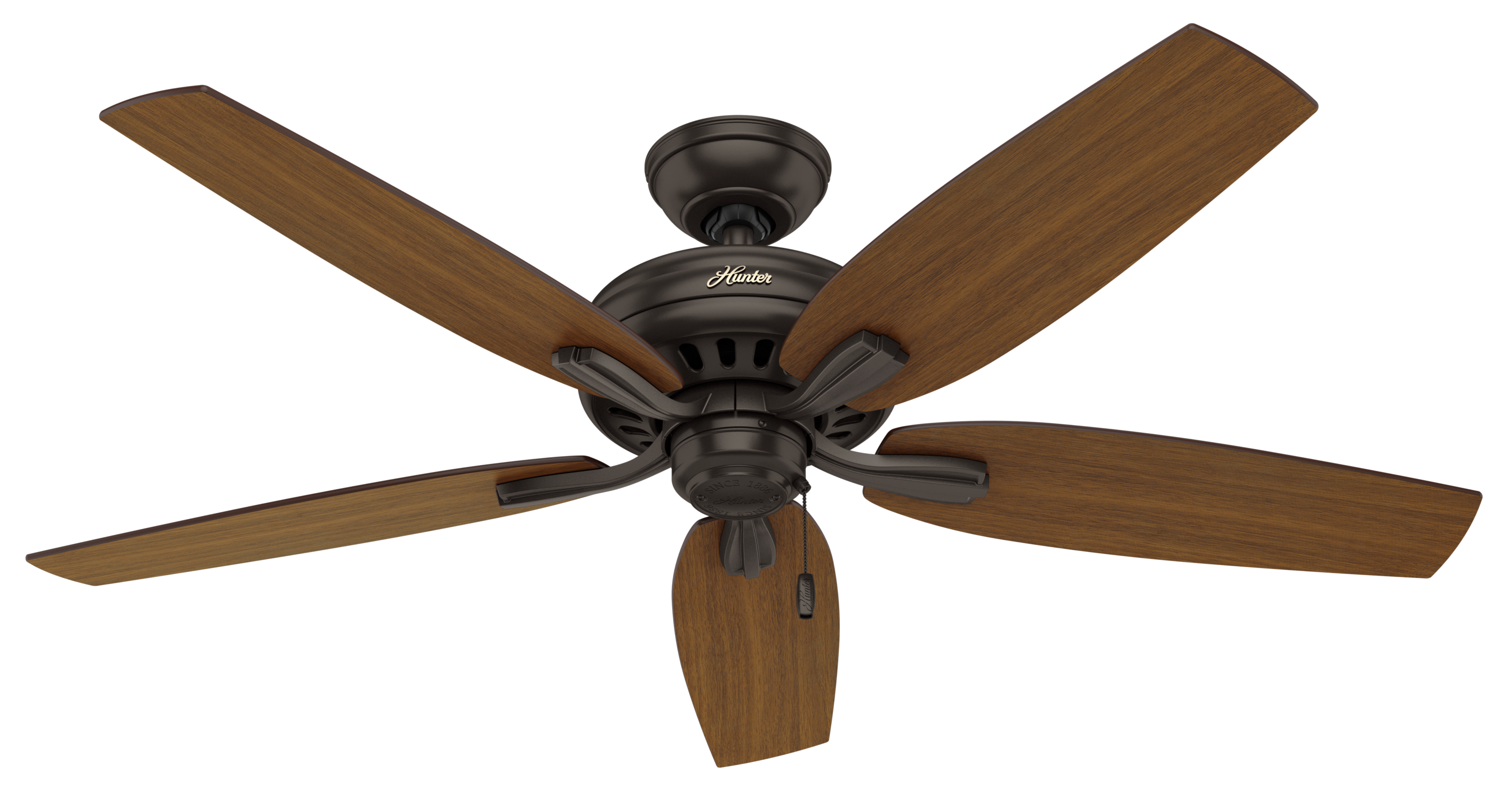 Hunter 52 inch Newsome Damp Rated Ceiling Fan and Pull Chain Ceiling Fan Hunter   
