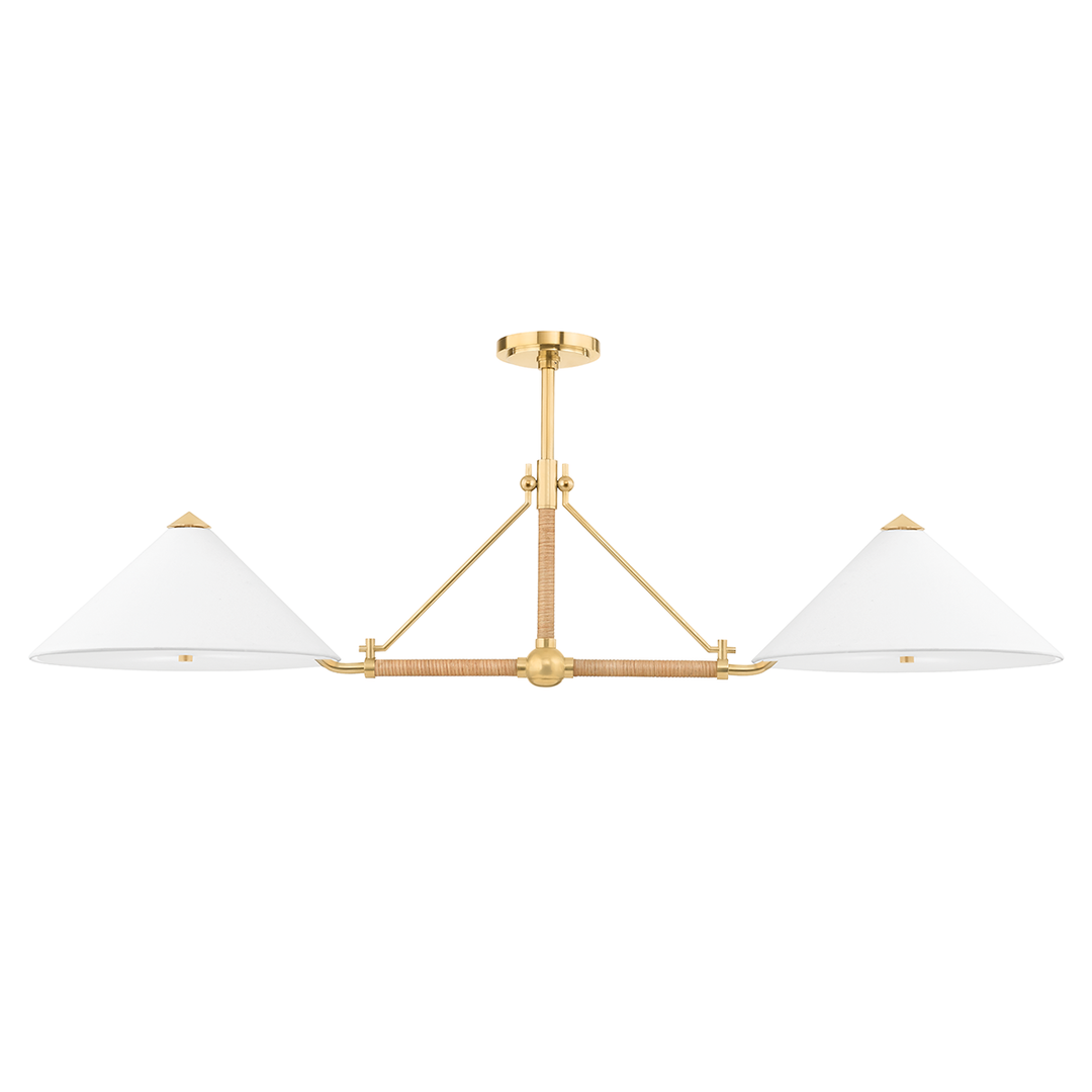 Hudson Valley Lighting Williamsburg Linear Chandeliers Hudson Valley Lighting Aged Brass  