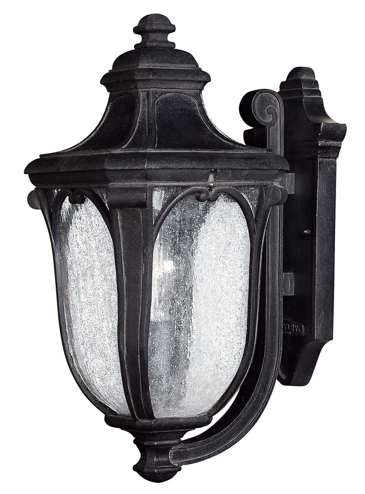 Hinkley Trafalgar Outdoor Wall Light Medium Wall Mount Lantern Museum Black 1314MB