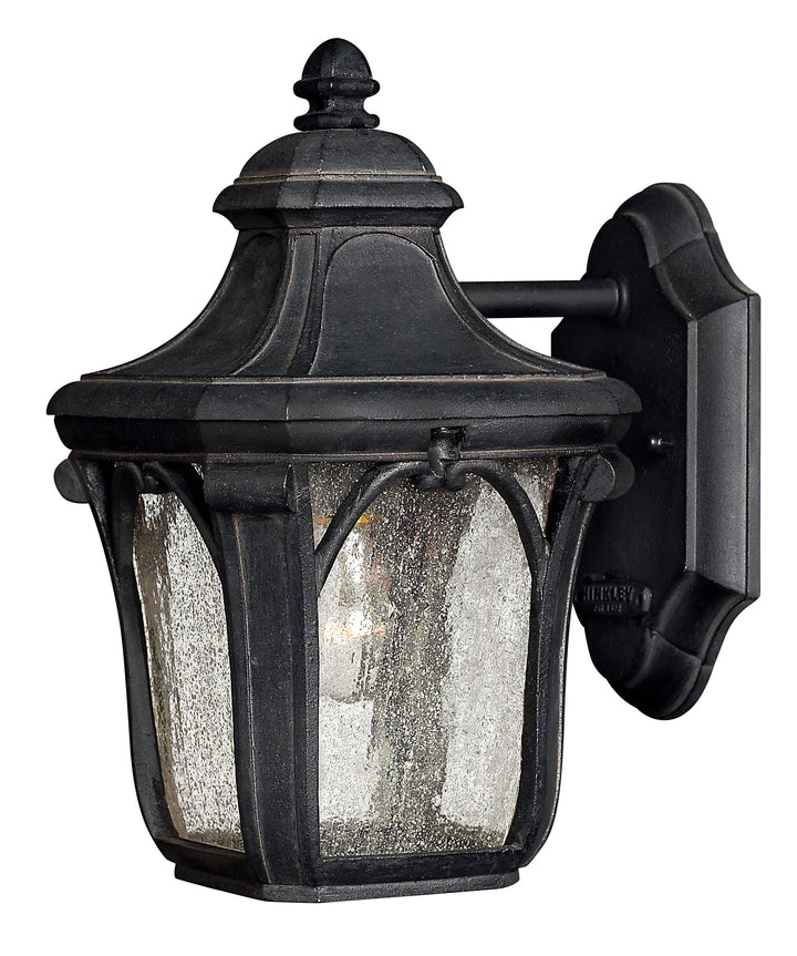 Hinkley Trafalgar Outdoor Wall Light Small Wall Mount Lantern Museum Black 1316MB