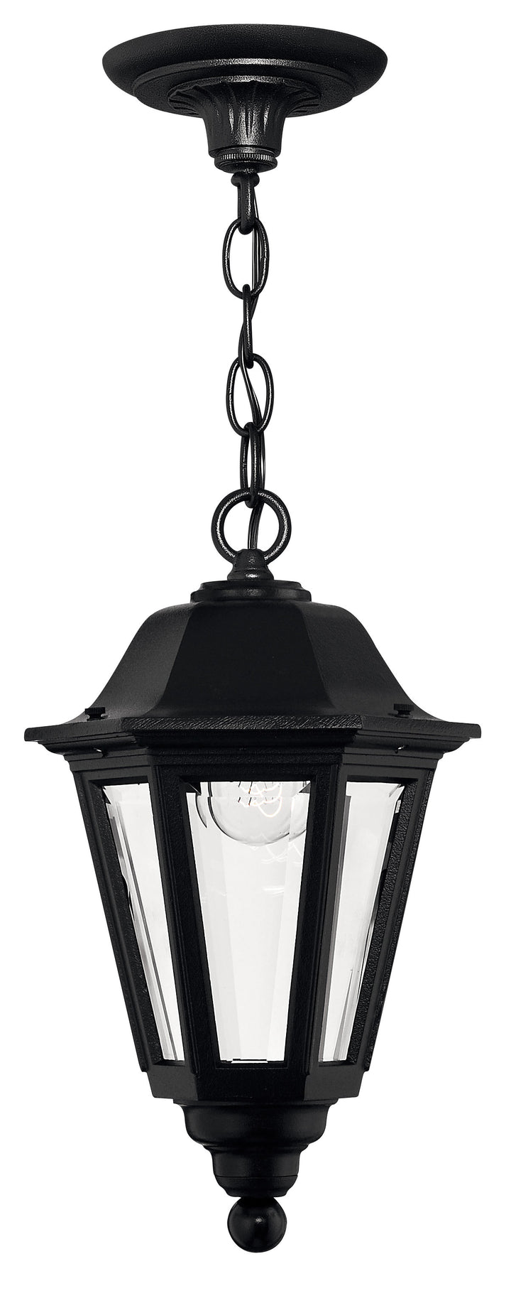 Hinkley Manor House Outdoor Hanging Light