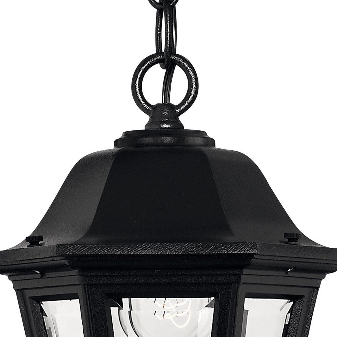 Hinkley Manor House Outdoor Hanging Light