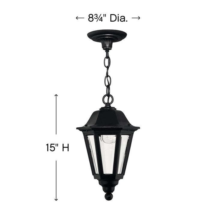 Hinkley Manor House Outdoor Hanging Light