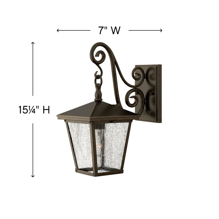 Hinkley Trellis Outdoor Wall Light