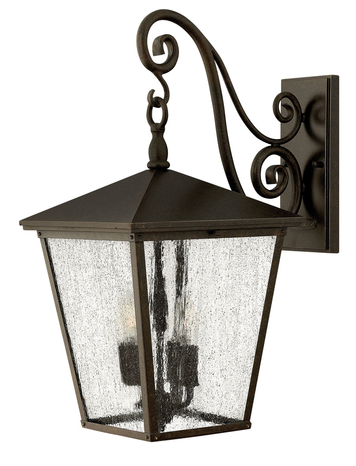 Hinkley Trellis Outdoor Wall Light Large Wall Mount Lantern Regency Bronze 1435RB