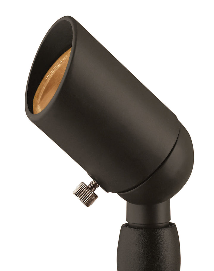 Hinkley Accent Spot Light