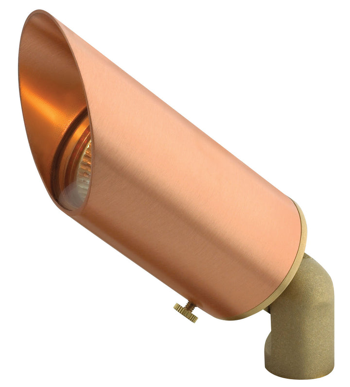 Hinkley Accent Spot Light