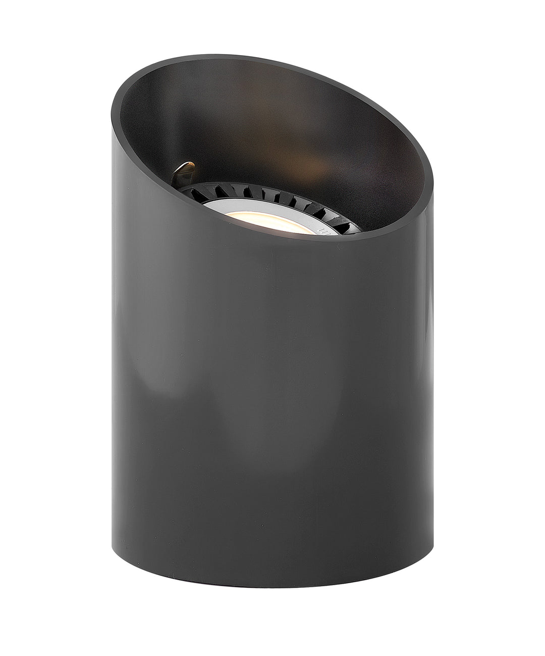 Hinkley Landscape Well Light Par36 Reversible Black 1598BK