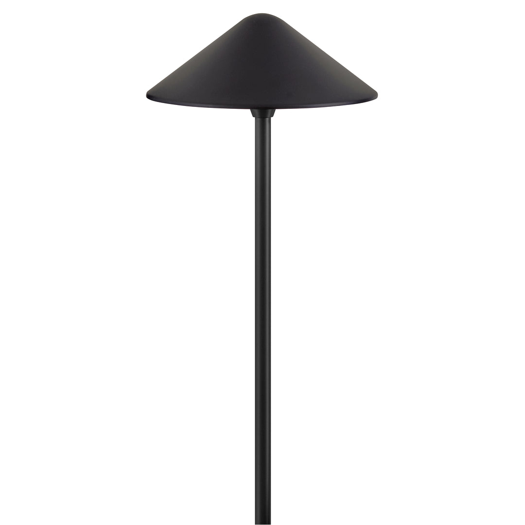 Hinkley Springfield Landscape Path Light 12V Large LED Path Light Black 16024BK-LL