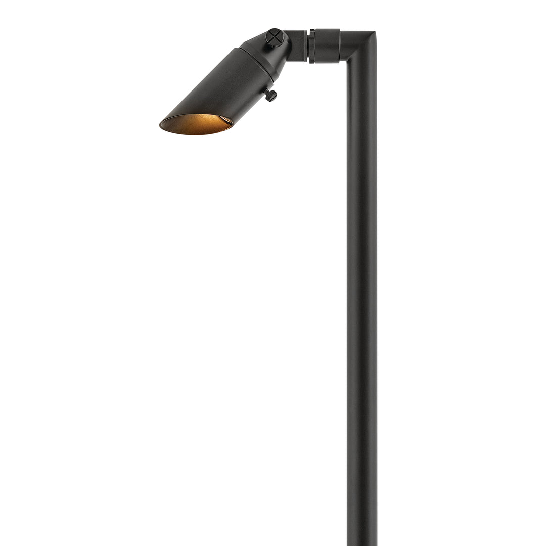 Hinkley Hardy Island Accent Spot Light 12V Spot Light and Stem Brass Satin Black 16507BSK