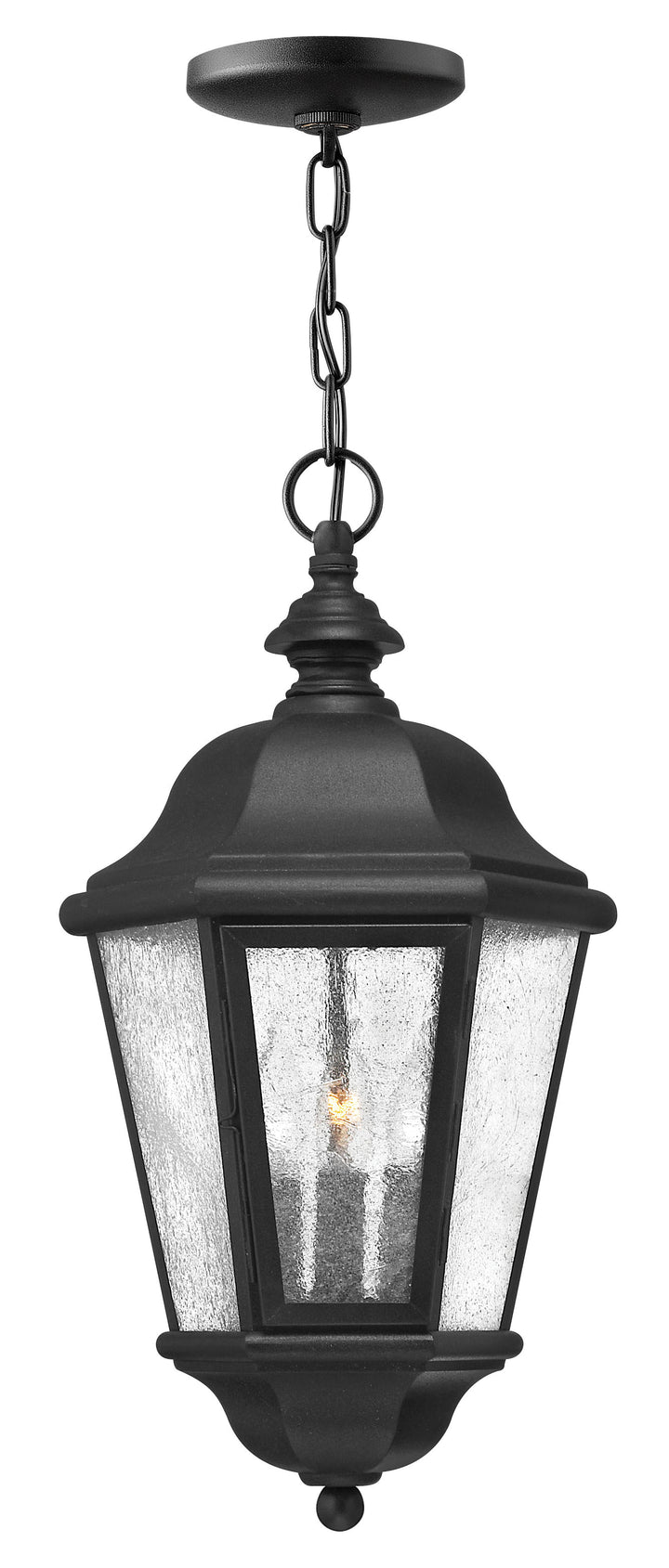 Hinkley Edgewater Outdoor Hanging Light Medium Hanging Lantern Black 1672BK