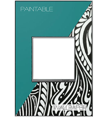 Legrand adorne Custom (Magnesium Trim) 1-Gang wall plate