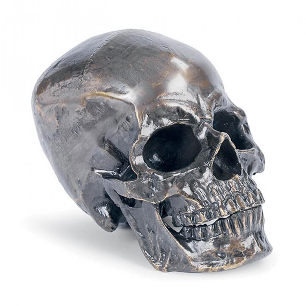 Regina Andrew Metal Skull