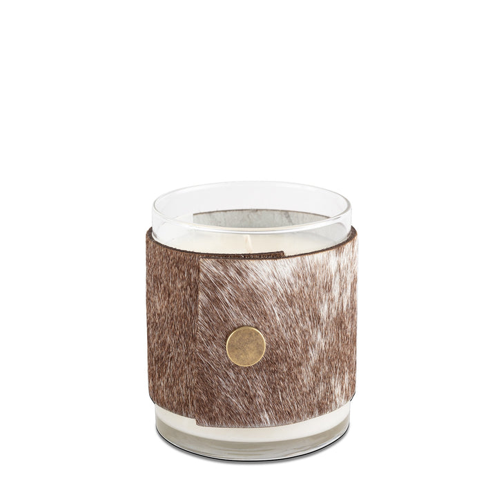 Regina Andrew Mountain Aire 10 oz Candle