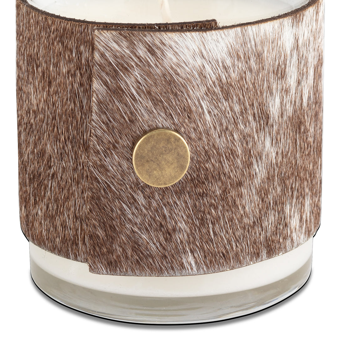 Regina Andrew Mountain Aire 10 oz Candle