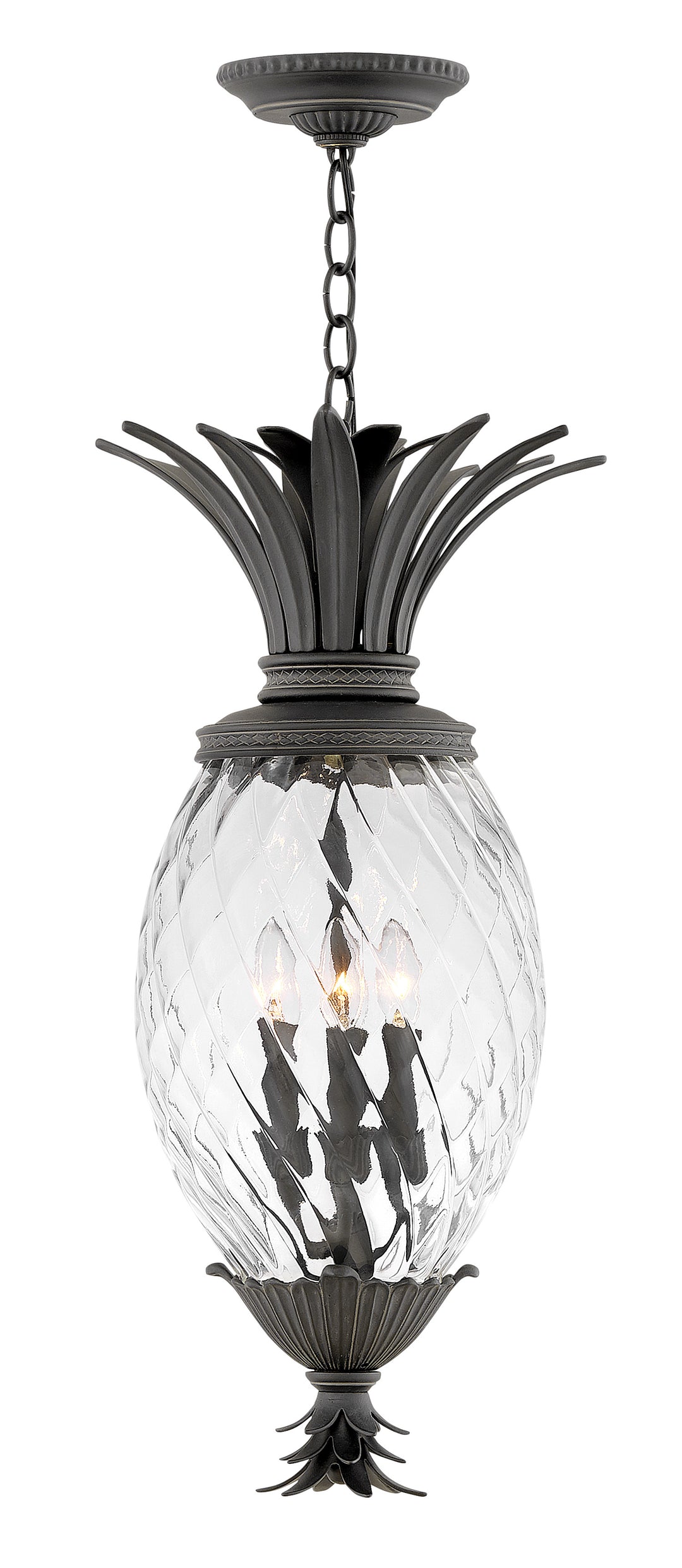 Hinkley Plantation Outdoor Hanging Light Large Hanging Lantern Museum Black 2122MB