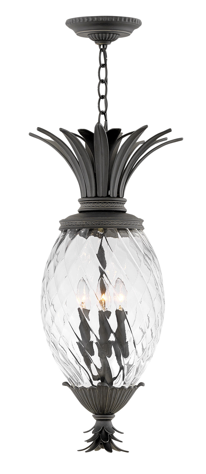 Hinkley Plantation Outdoor Hanging Light Large Hanging Lantern Museum Black 2122MB