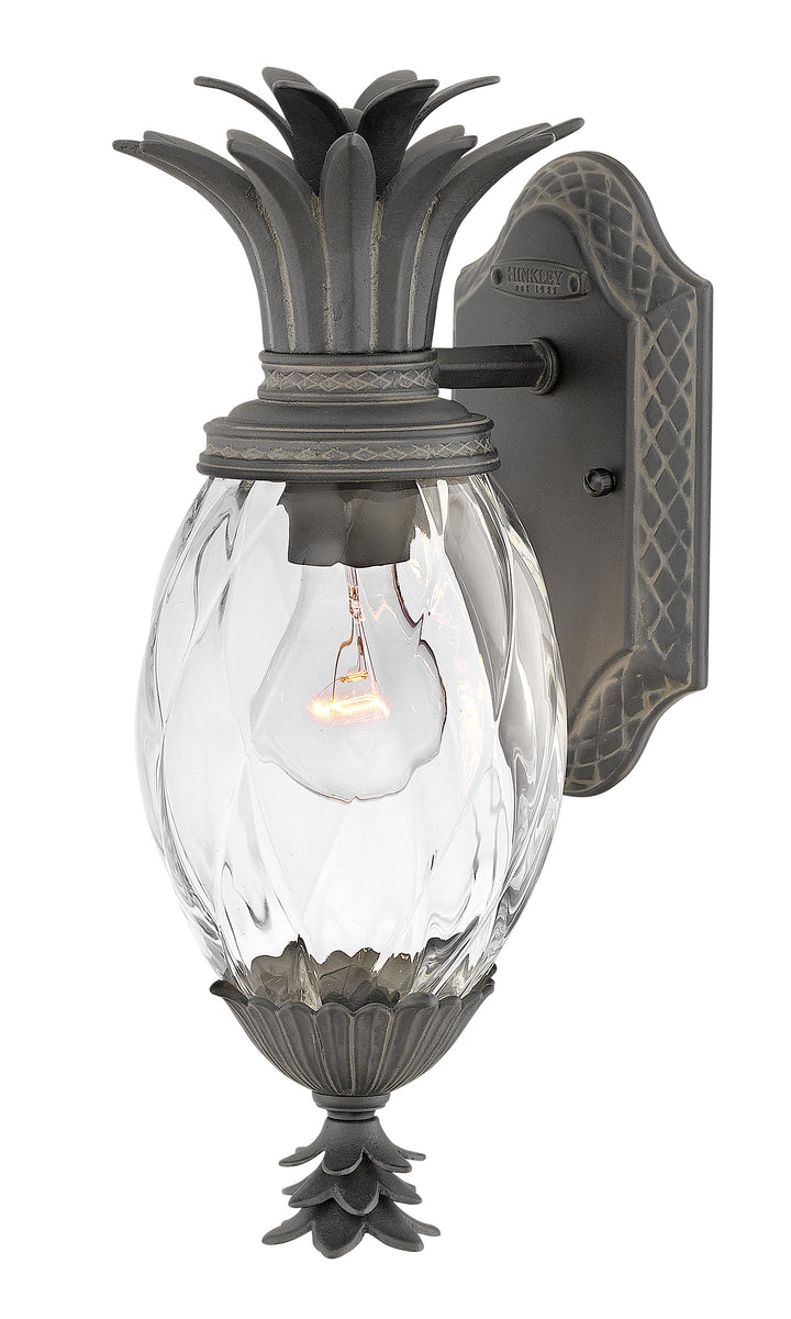 Hinkley Plantation Outdoor Wall Light Small Wall Mount Lantern Museum Black 2126MB