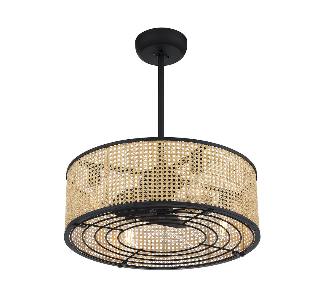 Savoy House Astoria Fan D'Lier