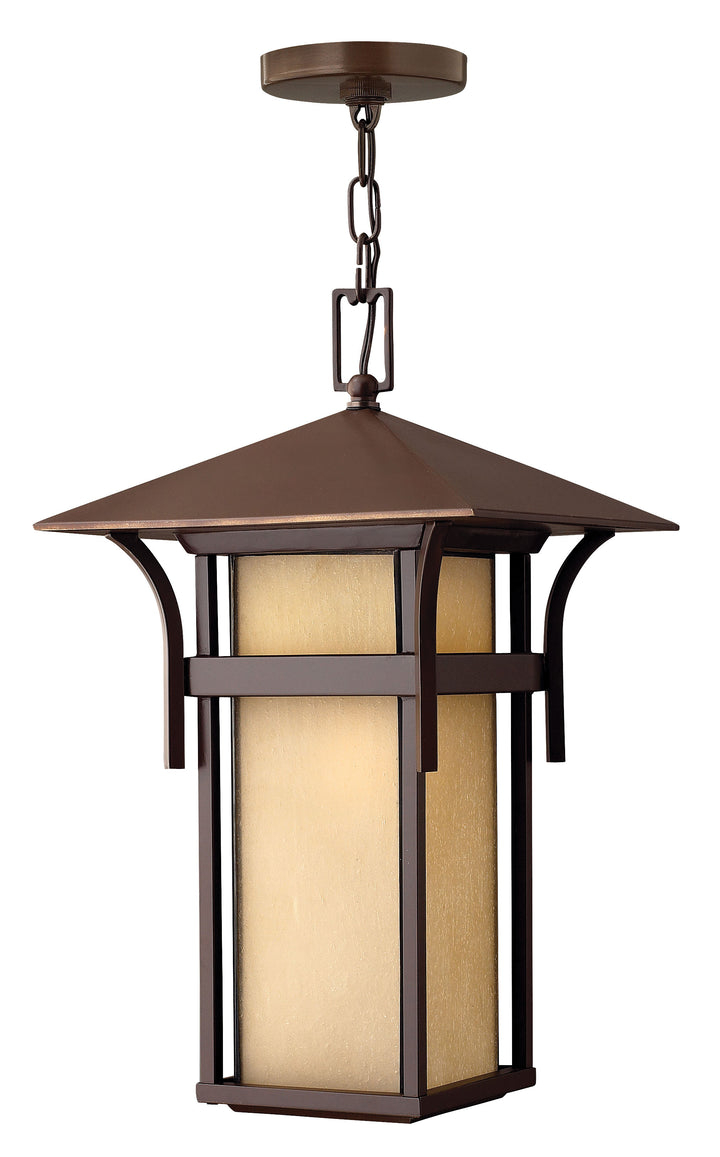 Hinkley Harbor Outdoor Hanging Light Medium Hanging Lantern Anchor Bronze 2572AR-LV