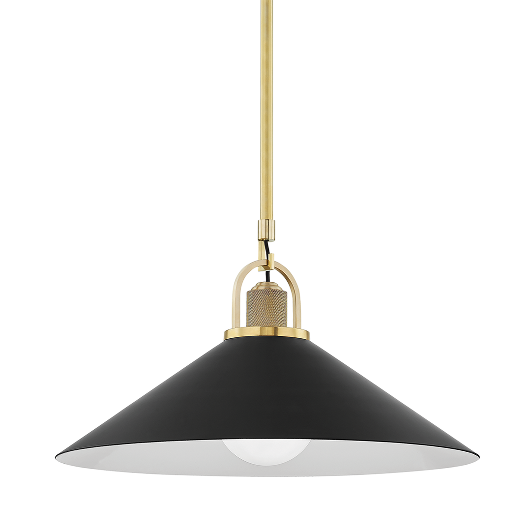 Hudson Valley Lighting Syosset Pendant Pendants Hudson Valley Lighting Aged Brass/black  