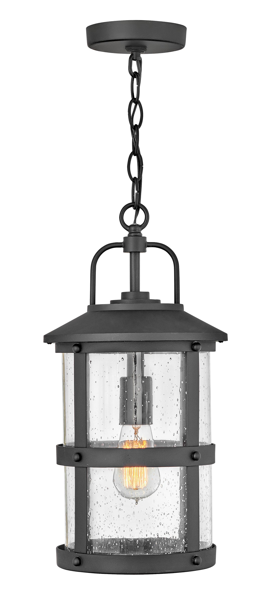 Hinkley Lakehouse Outdoor Hanging Light Medium Hanging Lantern Black 2682BK-LL