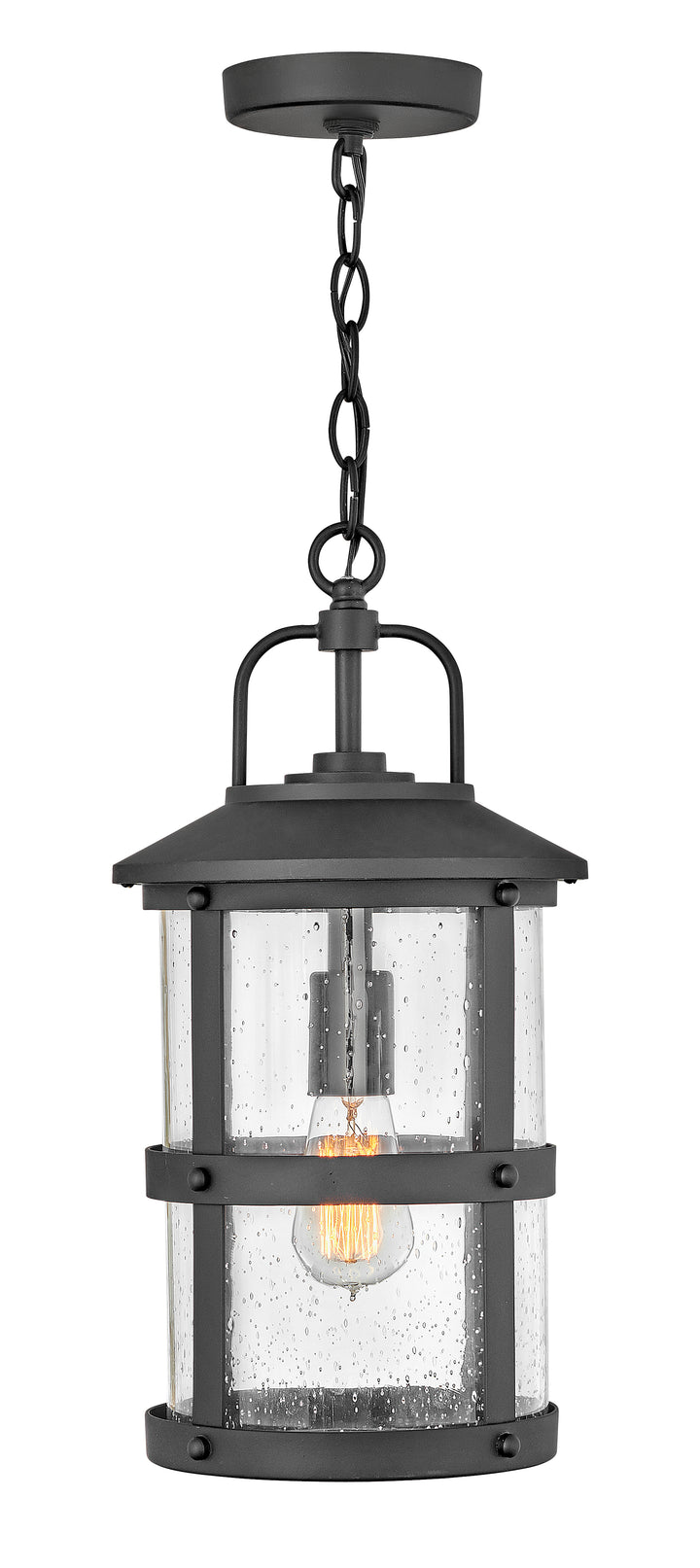 Hinkley Lakehouse Outdoor Hanging Light Medium Hanging Lantern Black 2682BK-LL