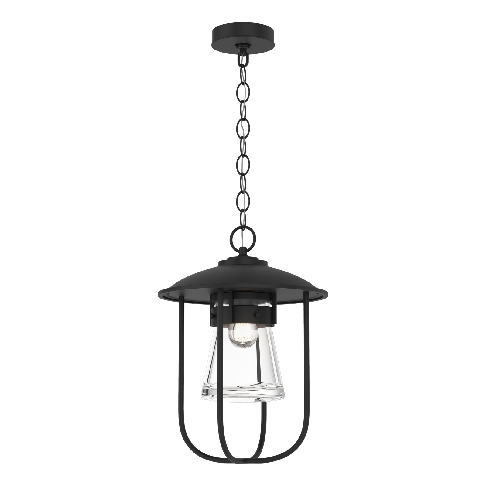 Hubbardton Forge Erlenmeyer Outdoor Pendant Outdoor Light Fixture l Hanging Hubbardton Forge Coastal Black Clear Glass (ZM) 
