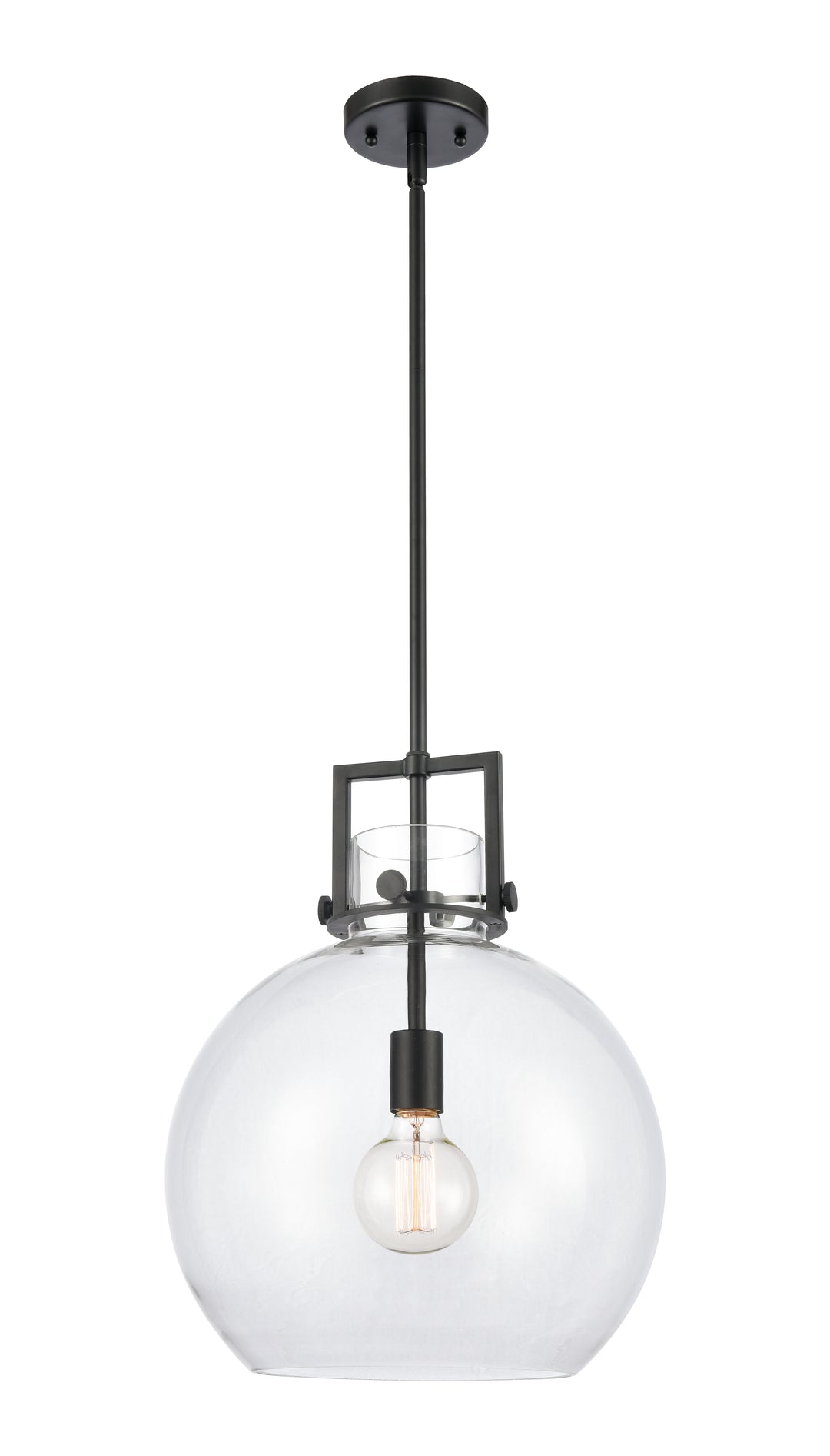 Innovations Lighting Newton Sphere 14" Pendant - Matte Black Pendants Innovations Lighting Clear ; Glass Type: Clear  