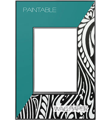 Legrand adorne Custom (Magnesium Trim) 1-Gang + wall plate
