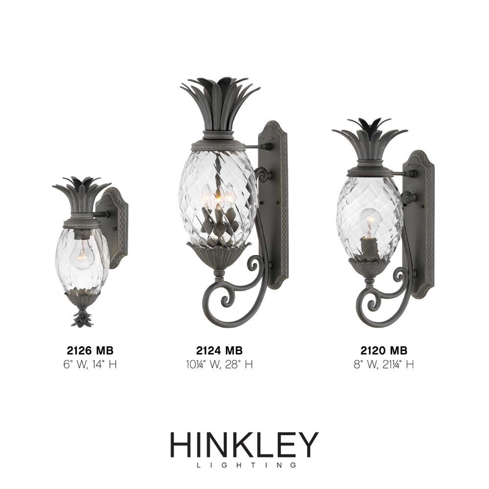 Hinkley Plantation Outdoor Wall Light