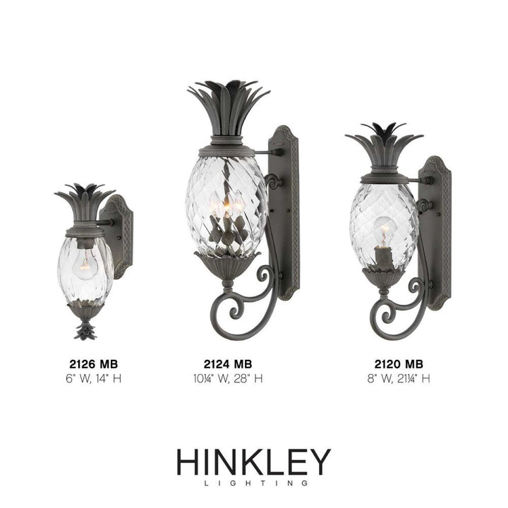 Hinkley Plantation Outdoor Wall Light