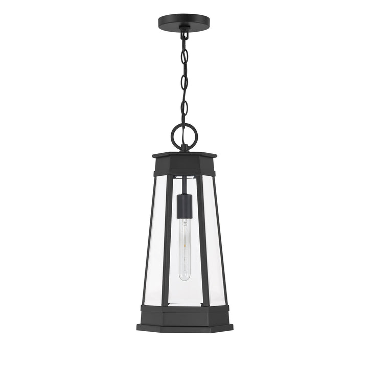Savoy House Payne 1-Light Outdoor Hanging Lantern - Model 5-208-BK