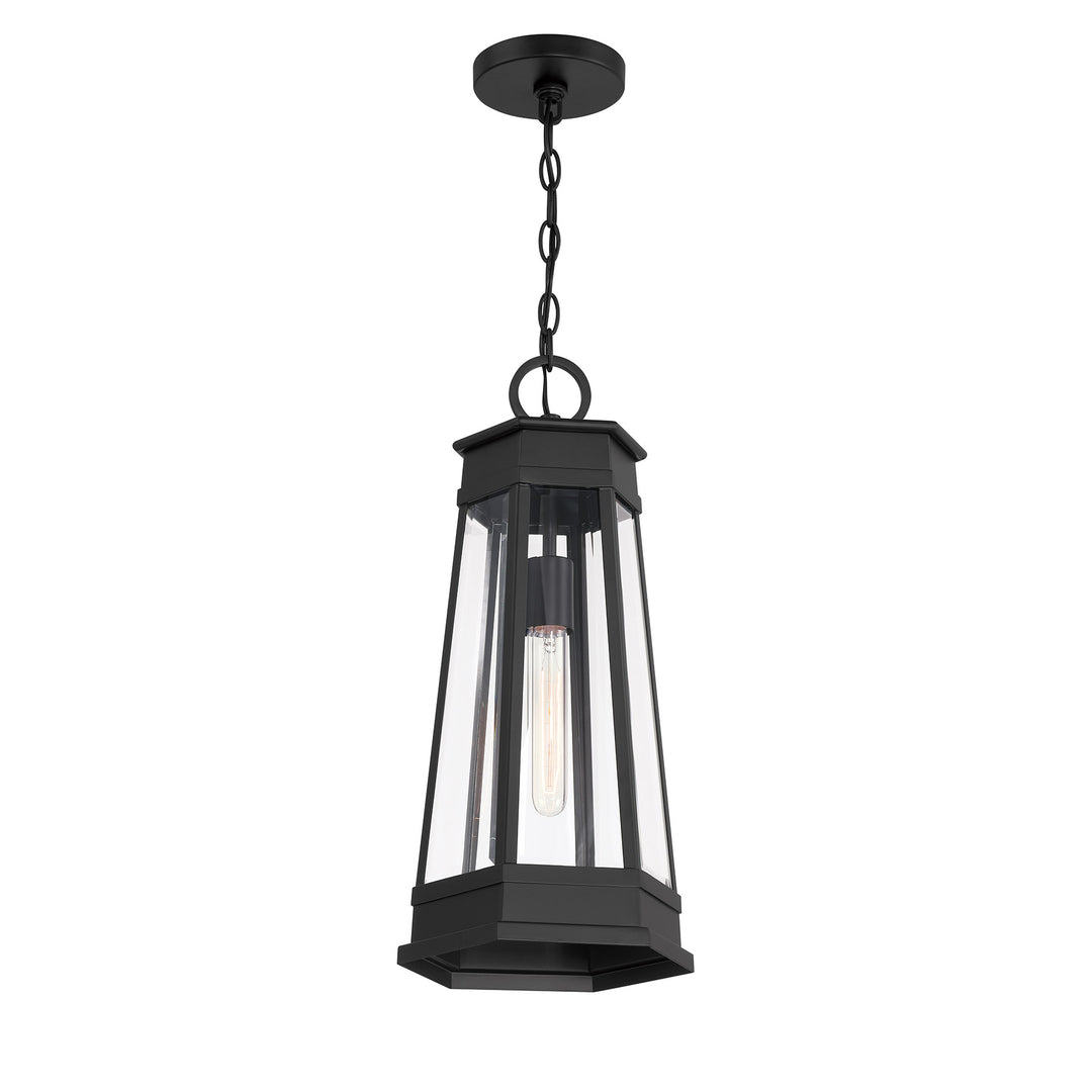 Savoy House Payne 1-Light Outdoor Hanging Lantern - Model 5-208-BK