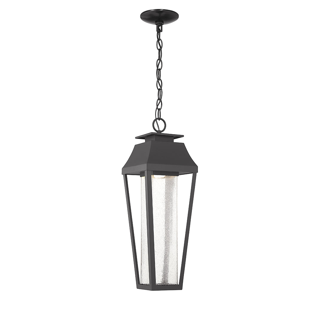Savoy House Brookline 1-Light Outdoor Hanging Lantern - Model 5-357-BK