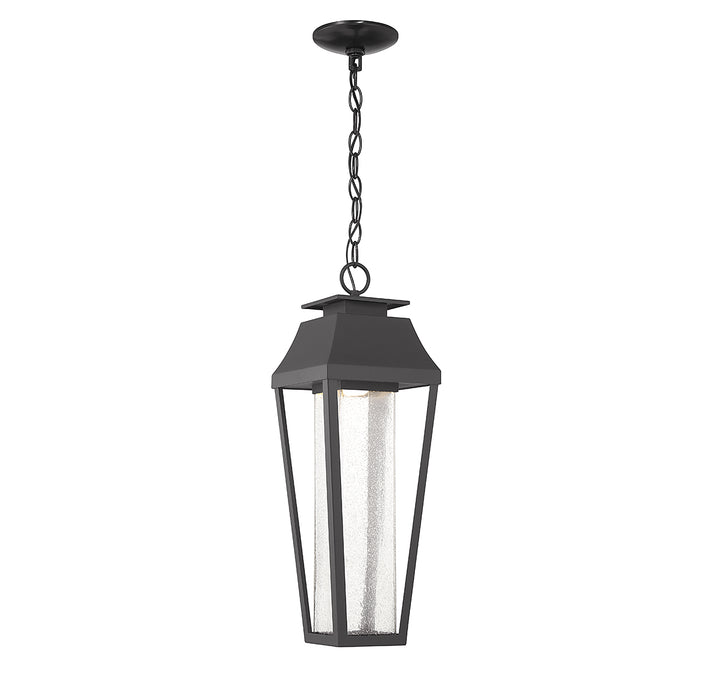 Savoy House Brookline 1-Light Outdoor Hanging Lantern - Model 5-357-BK