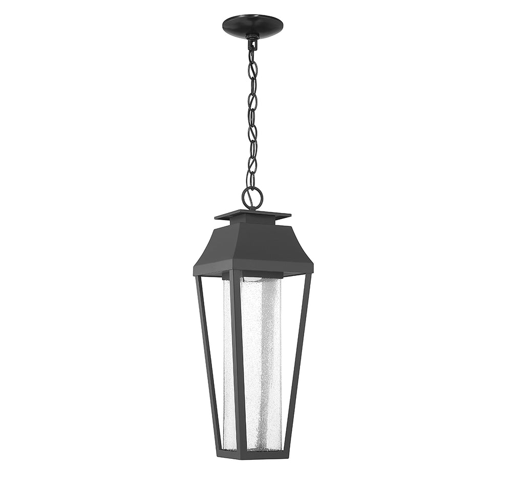 Savoy House Brookline 1-Light Outdoor Hanging Lantern - Model 5-357-BK