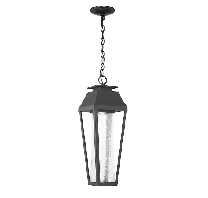 Savoy House Brookline 1-Light Outdoor Hanging Lantern - Model 5-357-BK
