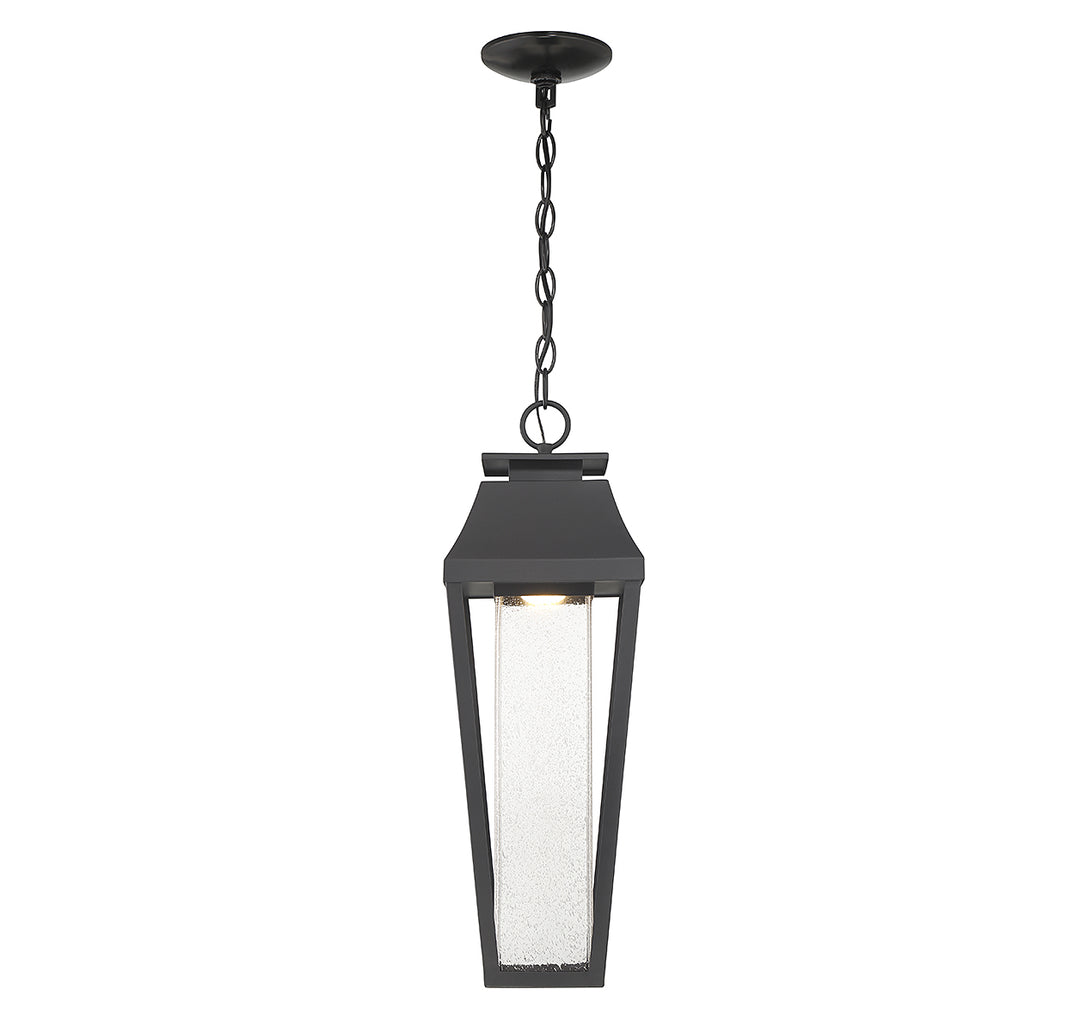 Savoy House Brookline 1-Light Outdoor Hanging Lantern - Model 5-357-BK