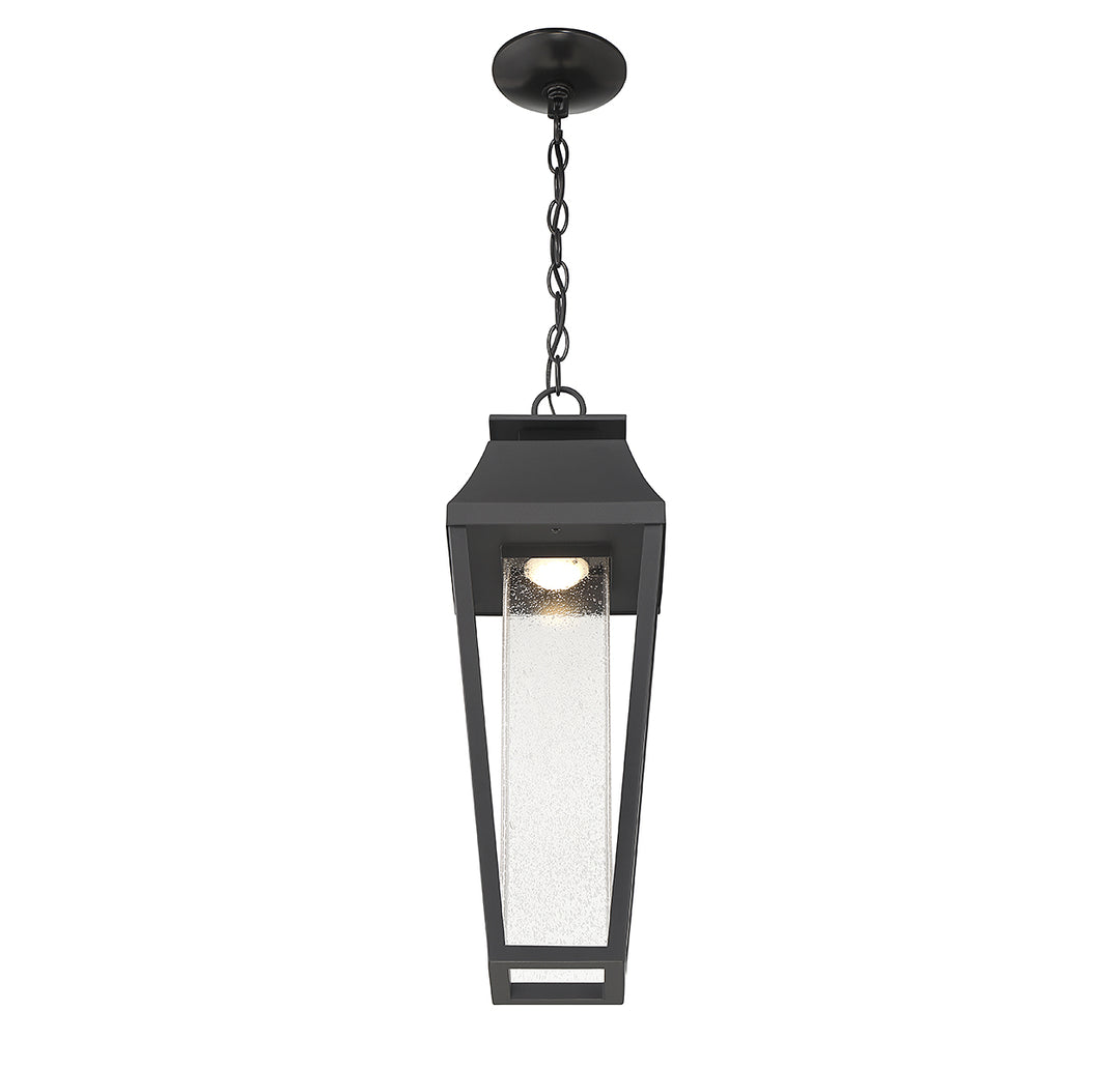 Savoy House Brookline 1-Light Outdoor Hanging Lantern - Model 5-357-BK