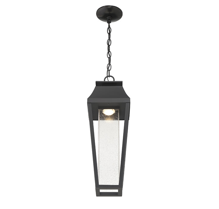 Savoy House Brookline 1-Light Outdoor Hanging Lantern - Model 5-357-BK