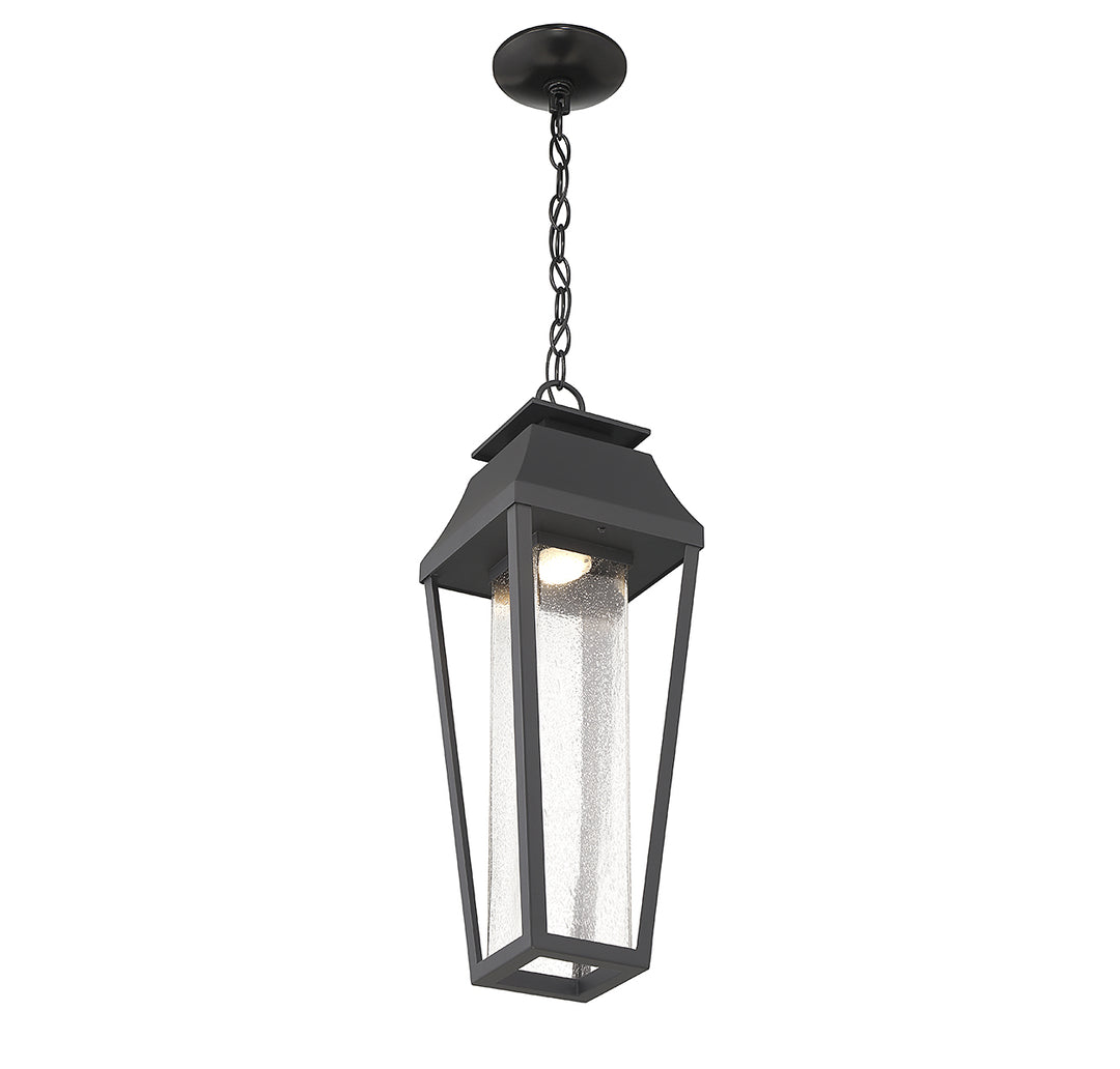 Savoy House Brookline 1-Light Outdoor Hanging Lantern - Model 5-357-BK