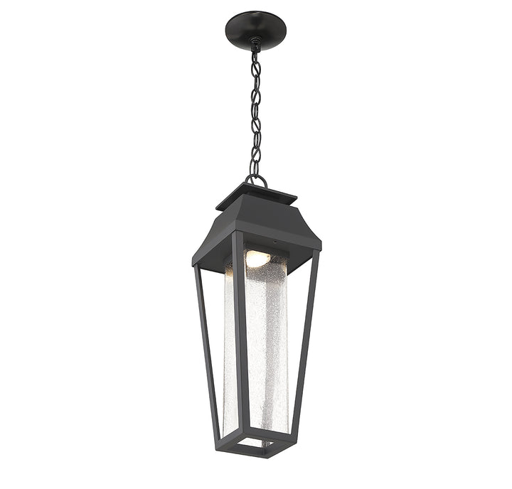 Savoy House Brookline 1-Light Outdoor Hanging Lantern - Model 5-357-BK