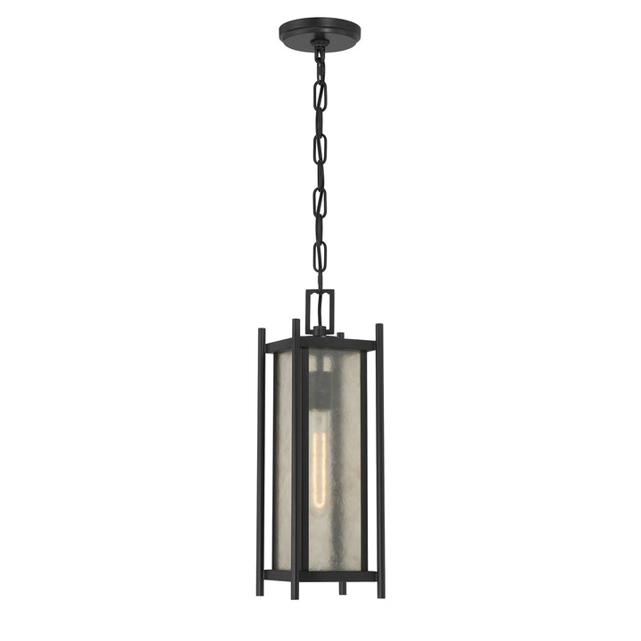 Savoy House Jacobs 1-Light Outdoor Hanging Lantern - Model 5-3806