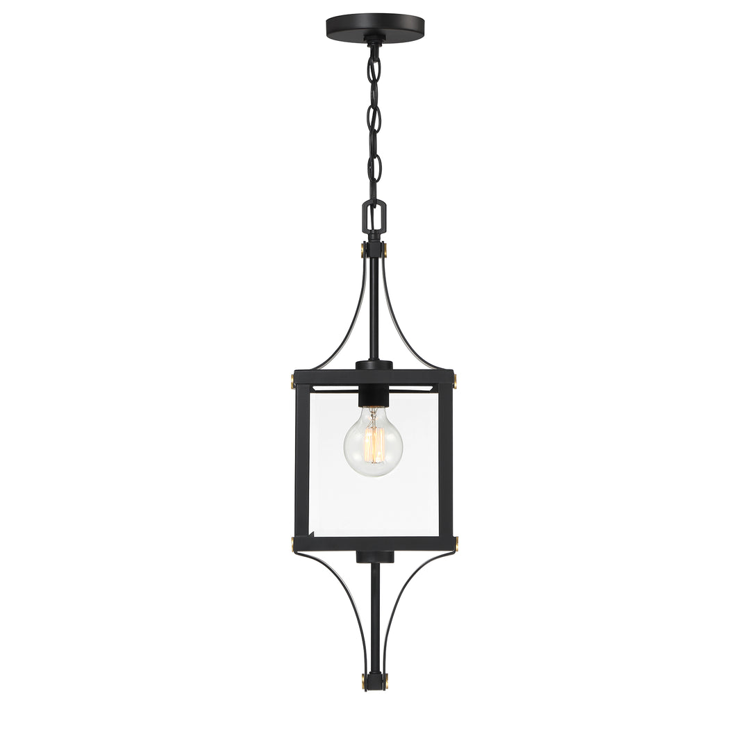 Savoy House Raeburn 1-Light Outdoor Hanging Lantern - Model 5-475-144
