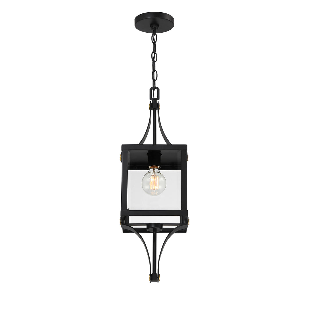 Savoy House Raeburn 1-Light Outdoor Hanging Lantern - Model 5-475-144