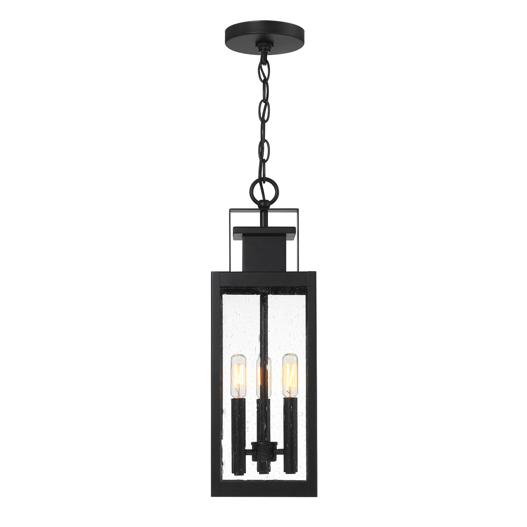 Savoy House Ascott 3-Light Outdoor Hanging Lantern - Model 5-827-BK