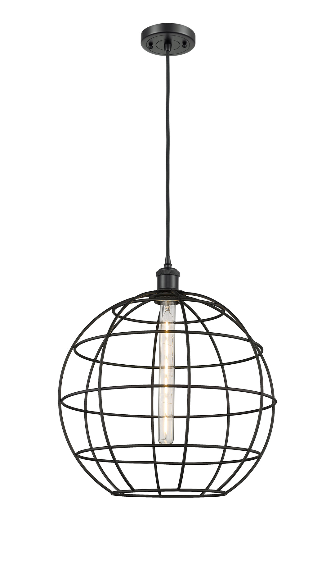 Innovations Lighting Lake Placid 16" Mini Pendant - Matte Black