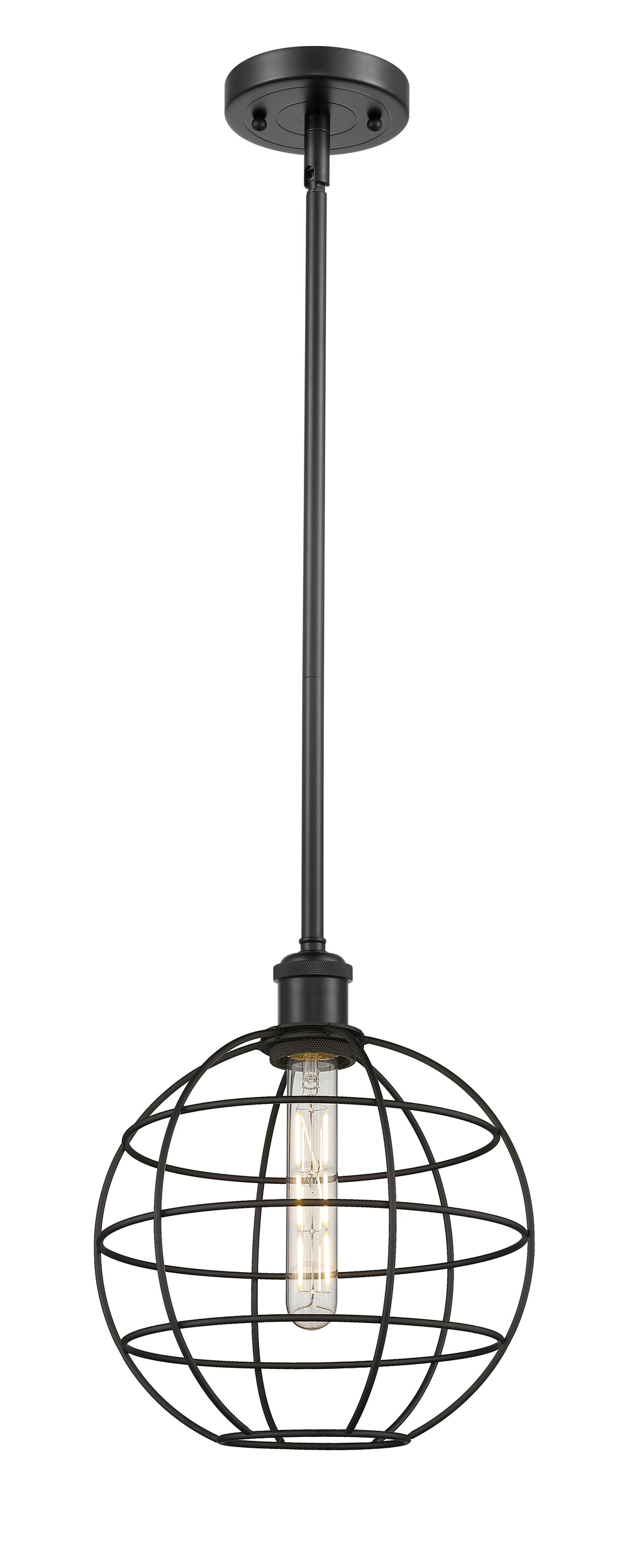 Innovations Lighting Lake Placid 10" Mini Pendant - Matte Black
