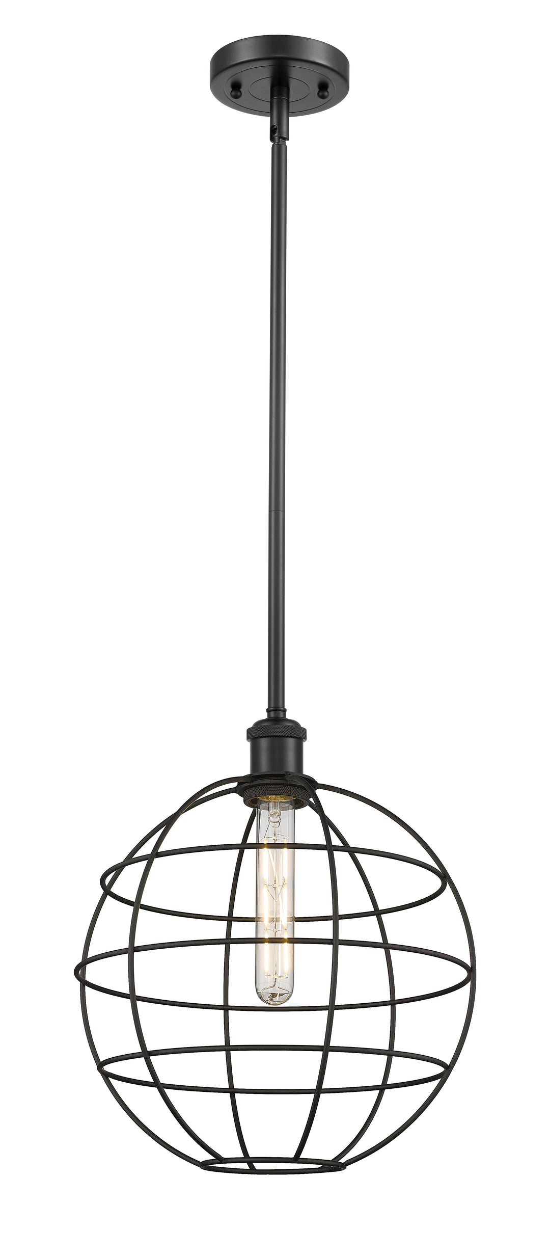 Innovations Lighting Lake Placid 12" Mini Pendant - Matte Black